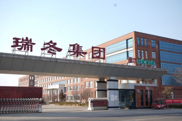 نبذة عن الشركة