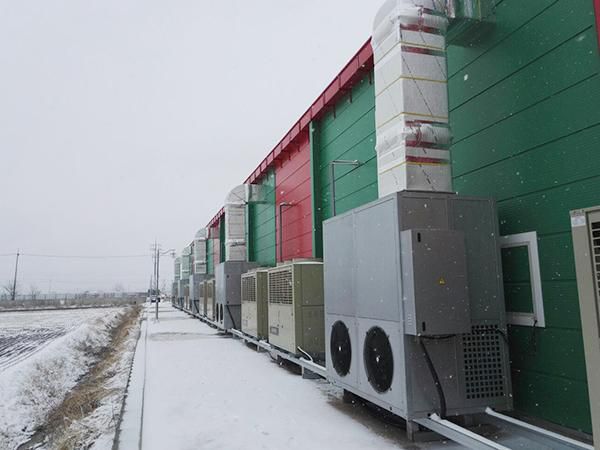 أنظمة تكييف متطورة مخصصة لمزرعة فطر الأجاريكس (عيش الغراب) في سيول (كوريا الجنوبية)